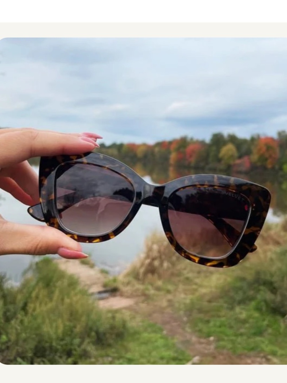 Tortoise Cat-Eye Sunglasses - Brown